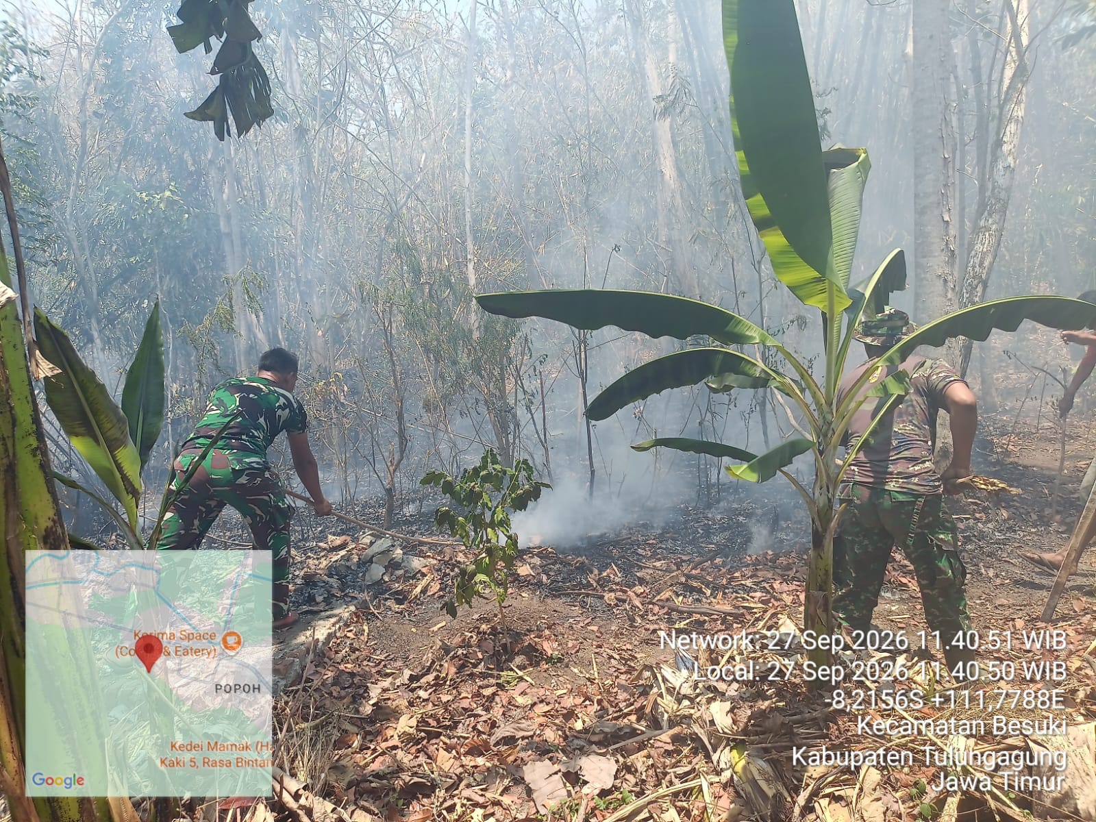 Babinsa dan Warga Padamkan Kebakaran Hutan di Besuki, Api Melalap Sekitar 100 Meter Persegi